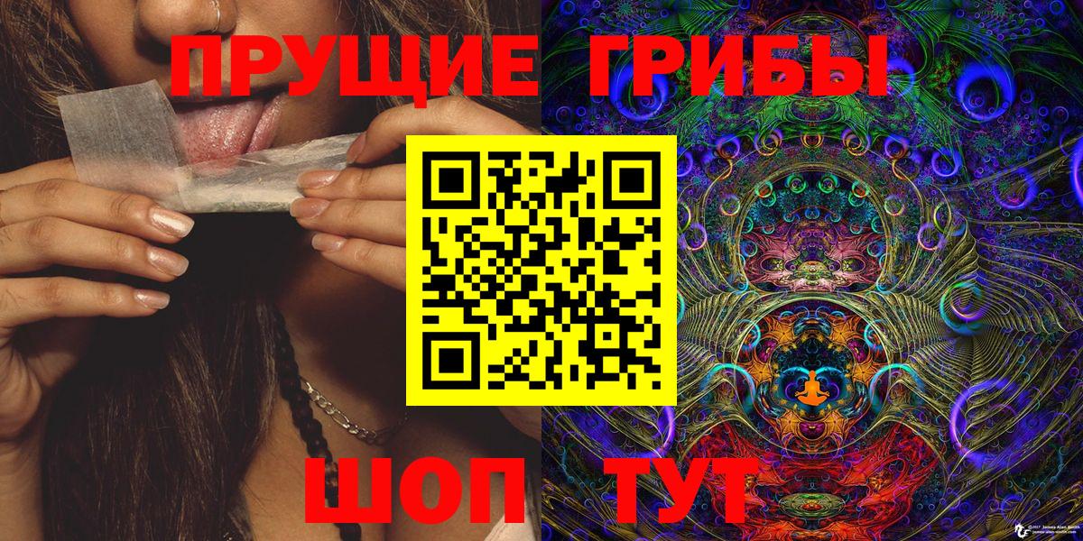 Псилоцибиновые грибы мухоморы Губкин
