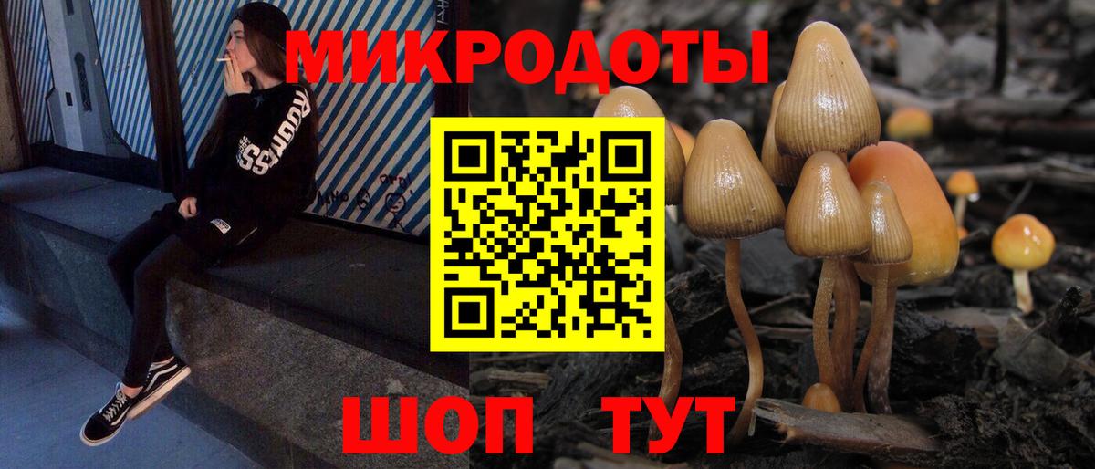 Галлюциногенные грибы Psilocybe  Псилоцибиновые грибы прущие грибы  Вход с VPN  Губкин 
